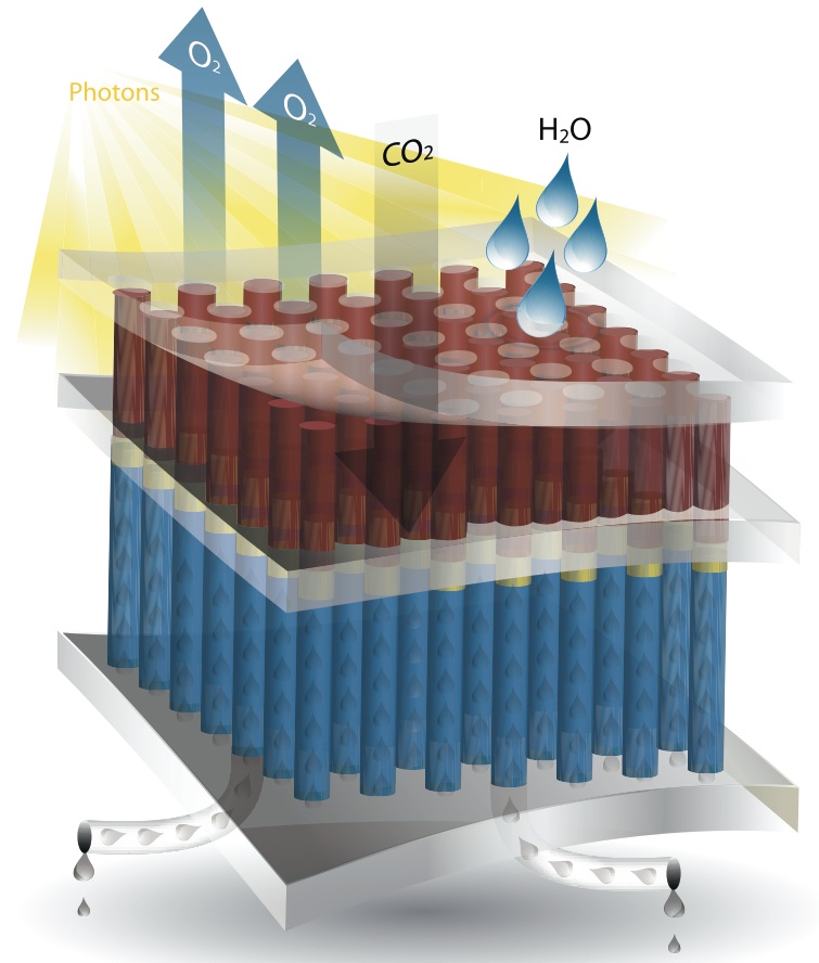 Artificial_photosynthesis_model_II.jpeg