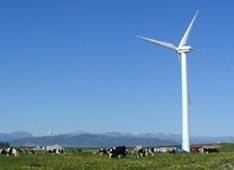 One of three giant wind turbines at Eskom's research and demonstration wind farm at Klipheuwel, just north of Cape Town