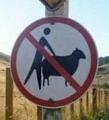 do not screw sheep