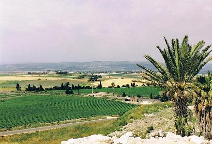 The fertile Jezreel Valley