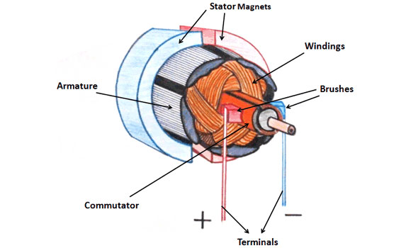 Brushed DC Motor